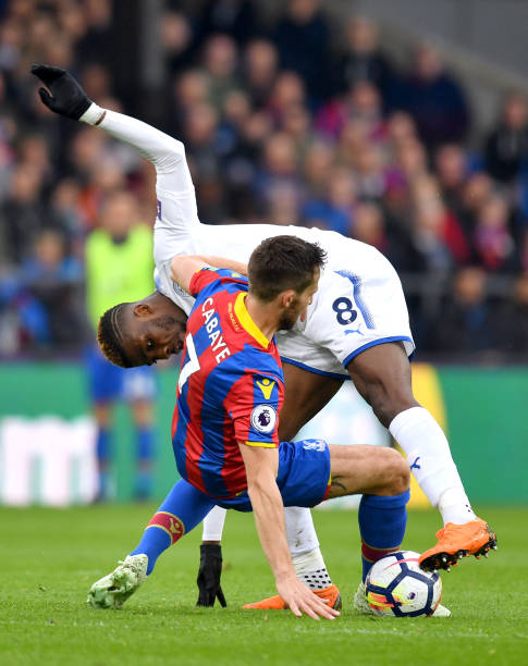 他们的稳健 他们的稳健