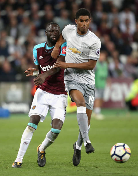 这一独特的 这一独特的